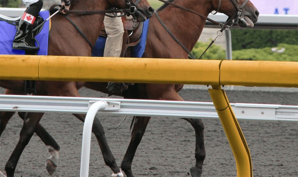 【京都大賞典2020予想】最終追い切り・調教内容が高評価の馬トップ3は？