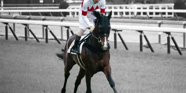 【浦和記念2022予想】地方転身のスワーヴアラミス、古巣に一泡吹かせられるか？