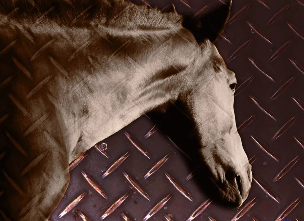 【メトロポリタンS予想2024】距離さえもてば鉄板級？能力上位のバトルボーン