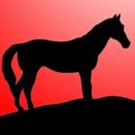 【JRA京阪杯2025予想】狙い目の穴馬はジャスティンスカイ✕荻野極騎手