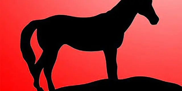 【JRA京阪杯2025予想】狙い目の穴馬はジャスティンスカイ✕荻野極騎手