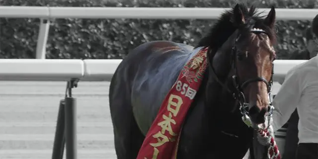 JRAワグネリアンは年内休養、目標は大阪杯