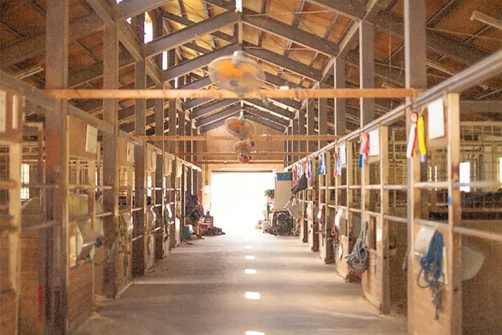 【JRA】ルペルカーリアが現役引退、種牡馬入り