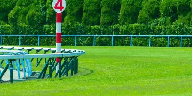 【京阪杯2020予想】来年のスプリント路線を占う一戦！レッドアンシェルやカレンモエなど出走予定馬を考察