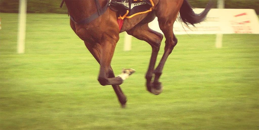 【JRAセントウルS2025予想】開幕週の高速馬場を味方に！ジャスティンスカイ切符奪取へ