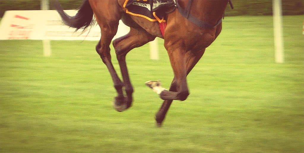 【キャピタルS予想2020】末脚勝負のカテドラル、名手確保で再度の一発に期待！