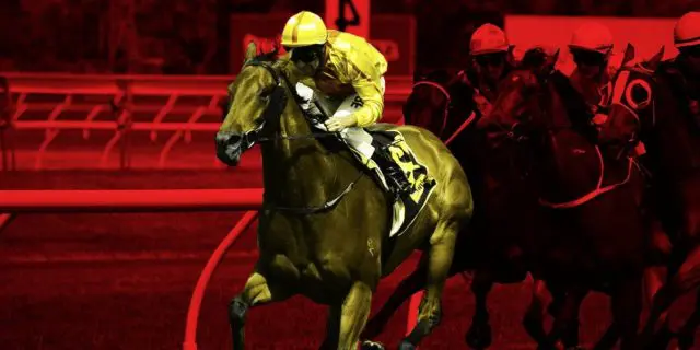 JRAマイルCS（2020）の絶対軸馬は阪神巧者のあの馬だ