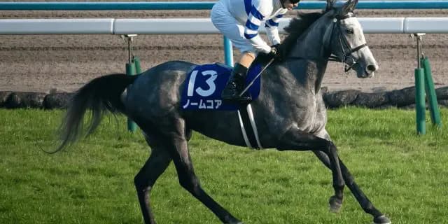 JRAノームコアが引退、繁殖入り