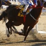 【武蔵野ステークス2025予想】最終追い切り・調教内容が高評価の馬トップ3は？