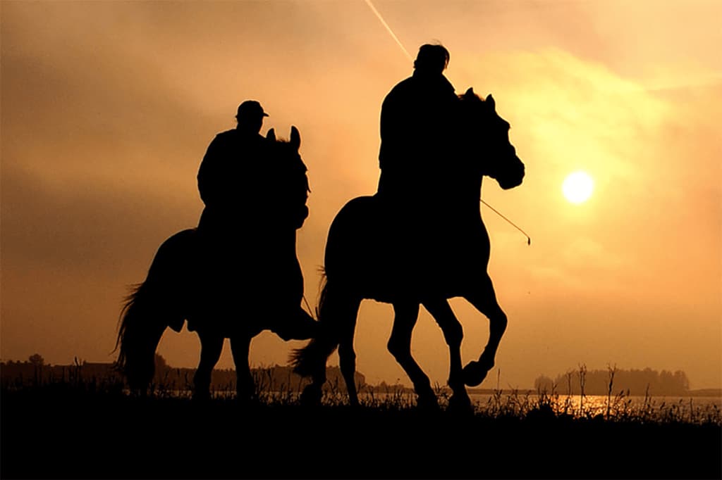 【東京スポーツ杯2歳S予想2025】未来のクラシック候補が集結！話題の矢作厩舎2頭に注目