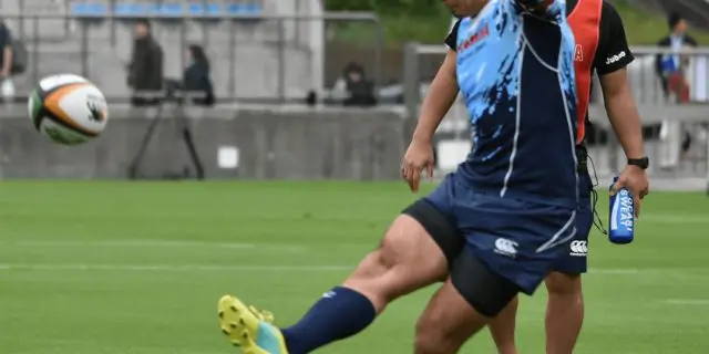 阪神JF（2020）のサインは“ラグビーの五郎丸歩選手の引退発表”！推奨サイン馬とは？