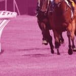 【JRAデイリー杯2歳S予想2024】少頭数なら地方馬サウンドバッハの逃げ粘りに期待 　