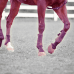 【エリザベス女王杯2025予想】波乱の主役はヴェルミセル、激走条件揃う