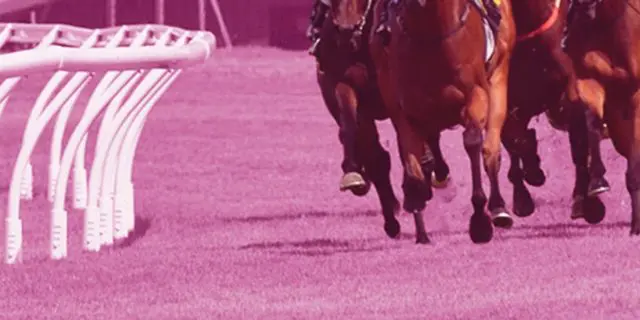 【エリザベス女王杯2025予想】秋の最強牝馬決定戦！レガレイラやパラディレーヌなど出走予定馬を考察