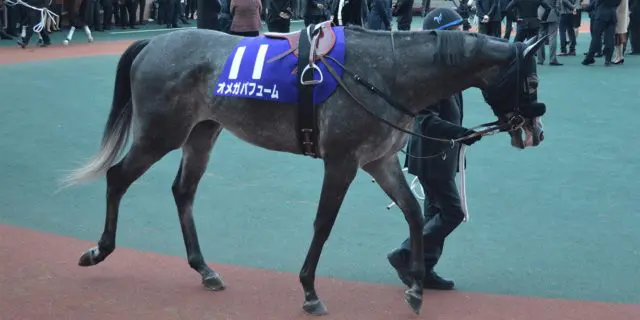 【東京大賞典2020予想】オメガパフュームは“鉄板級”か、有力な相手候補は？