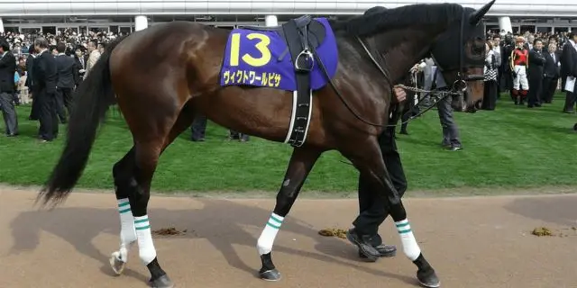 JRAヴィクトワールピサ産駒が中央・地方合計1000勝達成