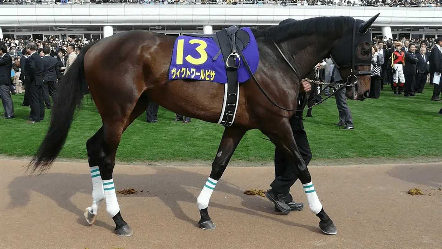 ヴィクトワールピサとクルーガー、トルコへ種牡馬として輸出