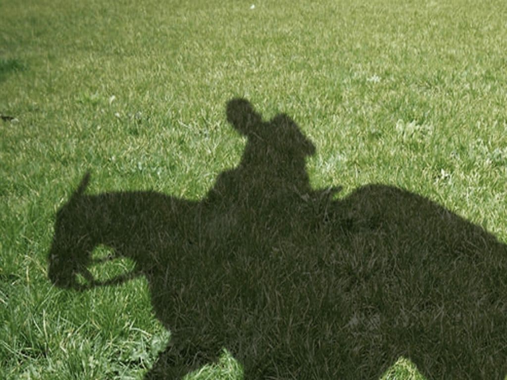 【中日新聞杯2020予想】波乱必至のハンデ戦！穴馬は中京巧者のあの馬