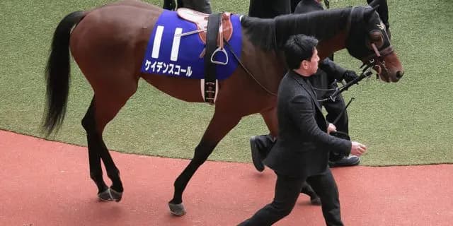 【レース回顧】マイラーズカップ2021を振り返る