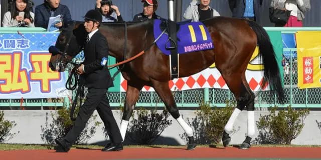 故郷で繁殖入りした統一G1馬ファッショニスタ