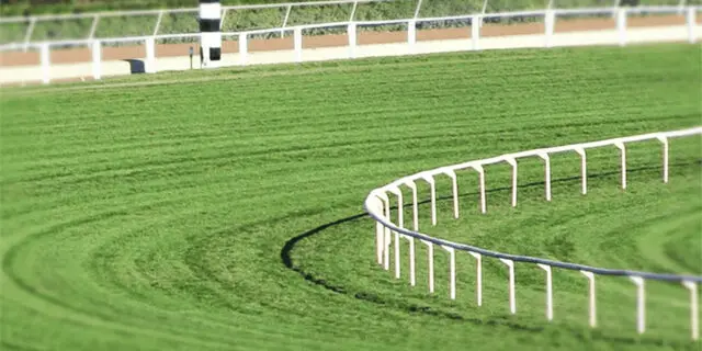 【東海S予想2021】唯一の4歳馬デュードヴァン、左回り歓迎