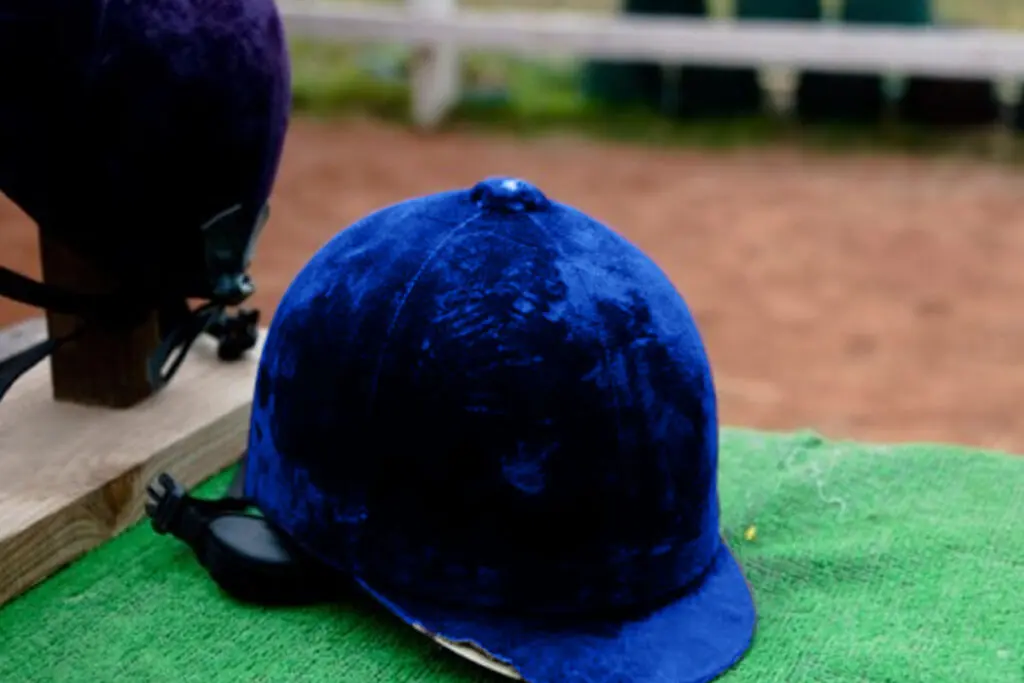 【セントポーリア賞2021予想】さらなる躍進に期待の横山武史騎手、ヤマカツエースの半妹ルースに騎乗