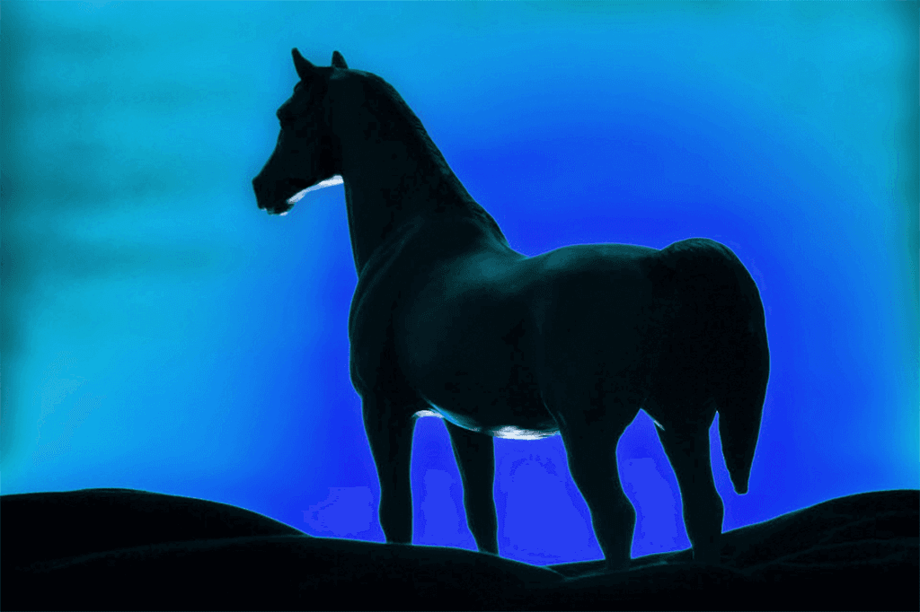 【シンザン記念2021】重賞2着の実績馬ブルーシンフォニーに妙味あり？