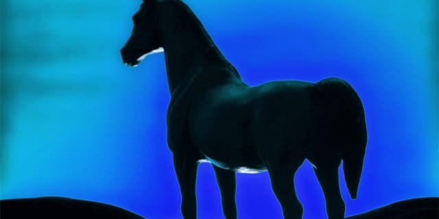 【クローバー賞2021予想】人気薄狙いなら道営馬マナホクに注目