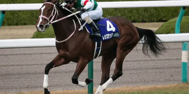 レシステンシアは阪急杯へ、春は短距離路線かマイル路線か？