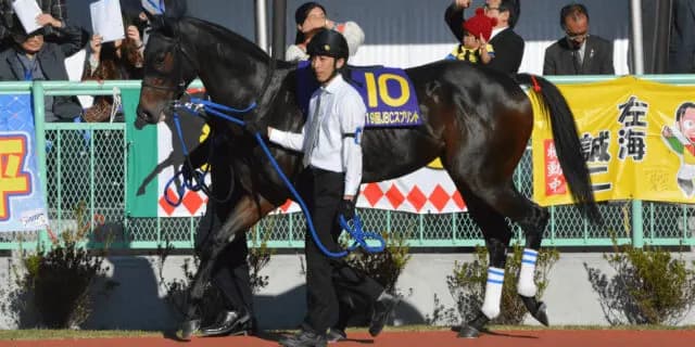 【東京盃2021予想】コパノキッキング✕C.ルメール、条件好転のここで勝負