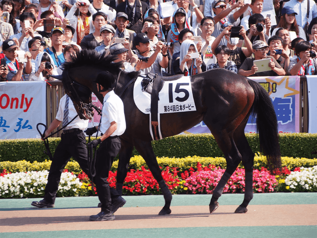 【フェブラリーS予想2022】大波乱期待で狙ってみたい穴馬ダイワキャグニー