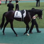 【JRA】重賞2勝の名馬ダンビュライト、腸捻転で死す