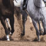 【りんくうS予想2025】追い込み勢に逆風の舞台！今年も先行馬が主役を奪うか？