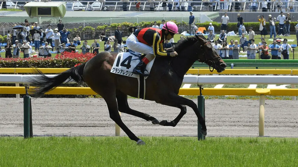【ヴィクトリアマイル回顧】牝馬限定G1でも今はハイレベルレースに