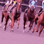 【中日新聞杯2025予想】混戦模様のハンデG3！シンハナーダやヴィンセンシオなど出走予定馬を考察