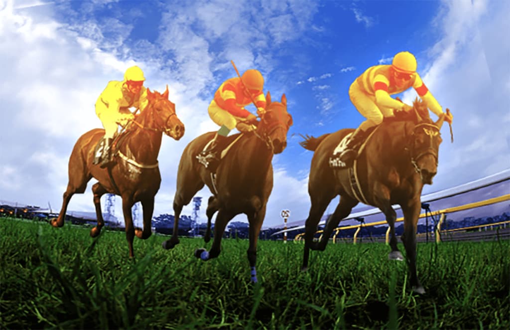 JRA京都記念（2021）は前残り？先行馬の穴馬はこの馬だ！