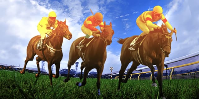 JRA京都記念（2021）は前残り？先行馬の穴馬はこの馬だ！