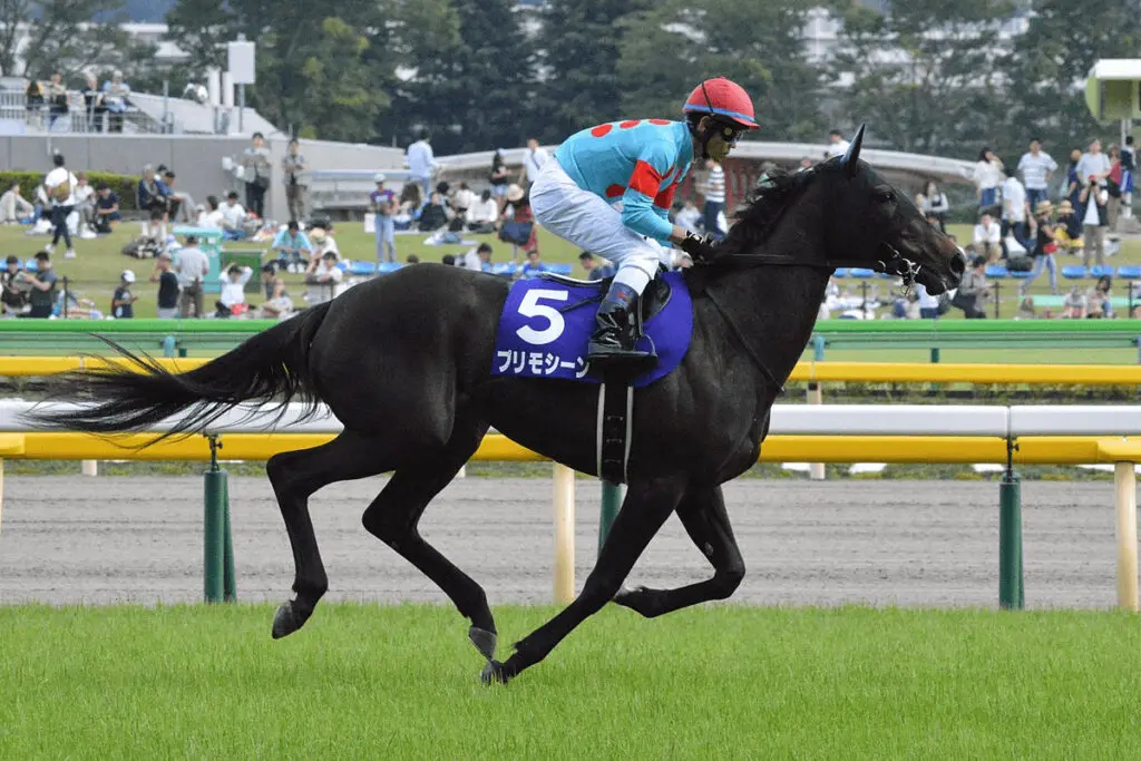 JRAプリモシーン引退、繁殖入り