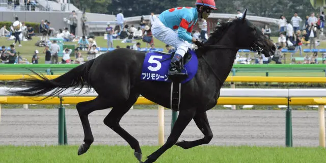 JRAプリモシーン引退、繁殖入り