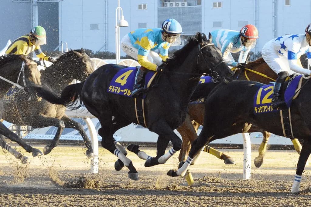 【マーチS予想2021】交流重賞で力をつけてきたデルマルーヴル、久々の中央で重賞制覇へ！
