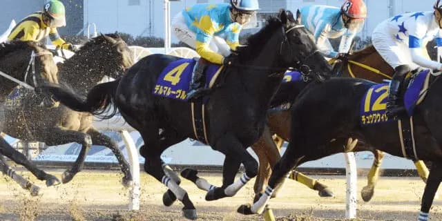 【マーチS予想2021】交流重賞で力をつけてきたデルマルーヴル、久々の中央で重賞制覇へ！