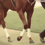 【スプリングS予想2026】アスクエジンバラに好機、得意舞台で権利獲得へ