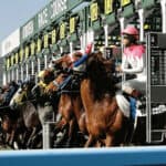 【チャンピオンズC2025】メイショウハリオやウィルソンテソーロなど、24頭が登録