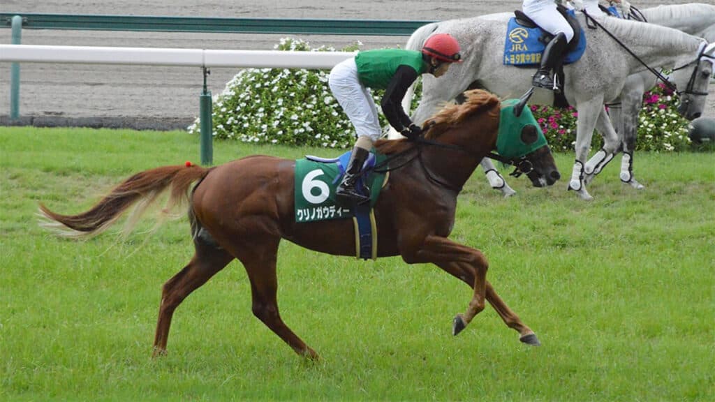 【名鉄杯2021予想】G1降着の無念を新天地で晴らしたいクリノガウディー