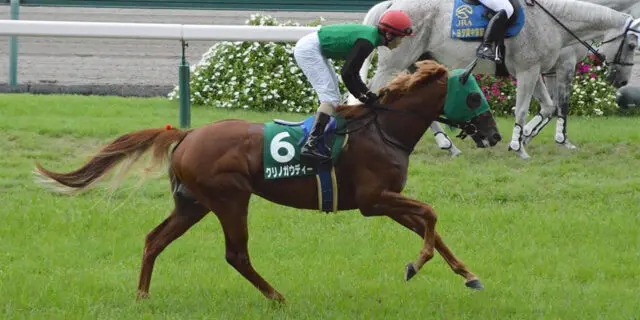 【名鉄杯2021予想】G1降着の無念を新天地で晴らしたいクリノガウディー