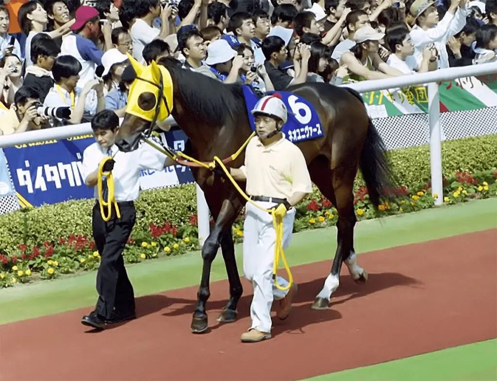2冠馬ネオユニヴァース死す、種付中の事故
