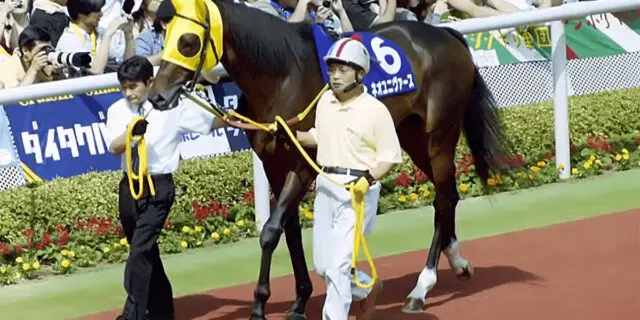 2冠馬ネオユニヴァース死す、種付中の事故