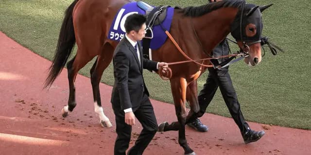 【高松宮記念2021予想】ラウダシオン、得意の左回りコースで久々の勝利なるか？