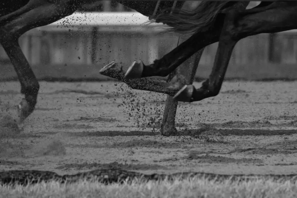 【ラジオNIKKEI賞2021予想】ワールドリバイバル、53kgで逃げ粘れ！