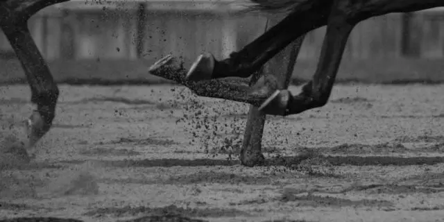 【ラジオNIKKEI賞2021予想】ワールドリバイバル、53kgで逃げ粘れ！